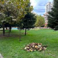 Autumn in Romania be like ❤️