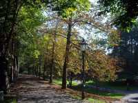 Autumn vibes in Stadtpark Graz 🌺