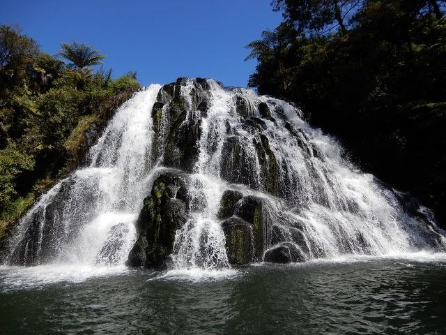 Enchanting Rendezvous in Rotorua 🌋