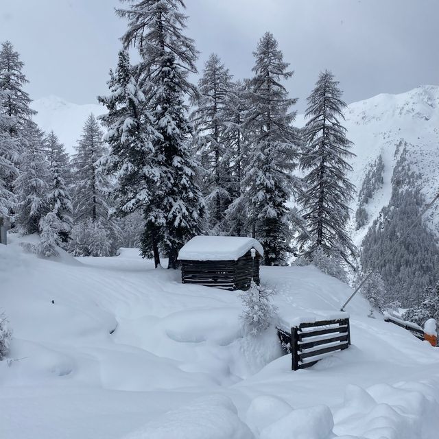 Winter Elegance and Culinary Excellence 