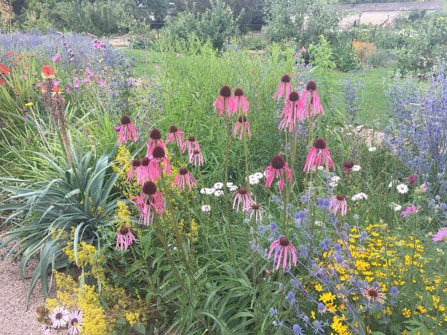 Oxford botanical gardens