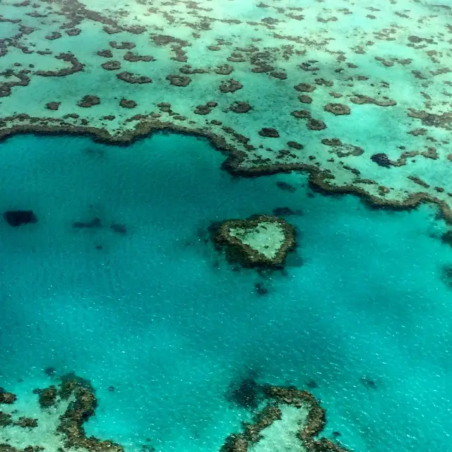 Discovering the Great Barrier Reef