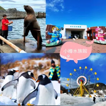 🐋小樽水族館🦭原來看企鵝走路會這麼療癒🐧
