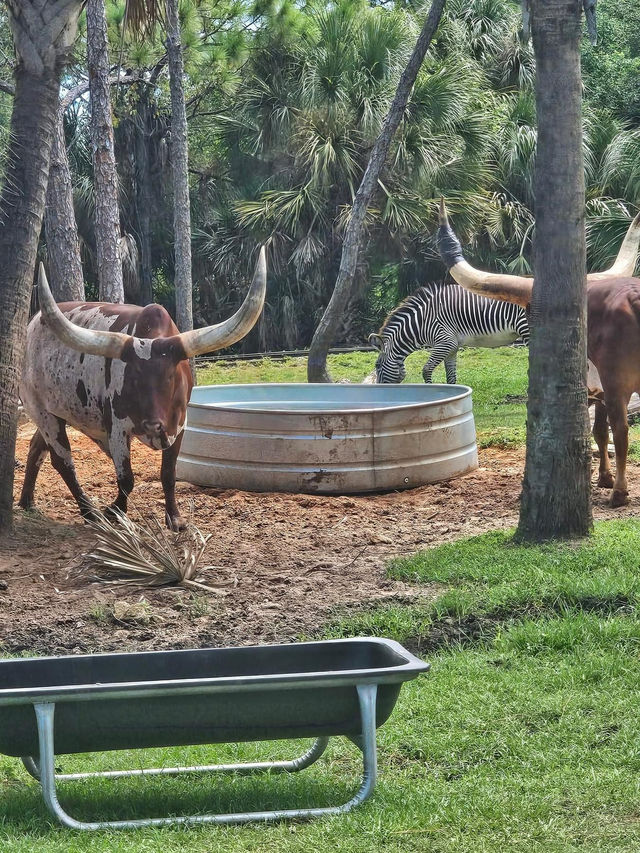 Brevard Zoo 🇺🇸