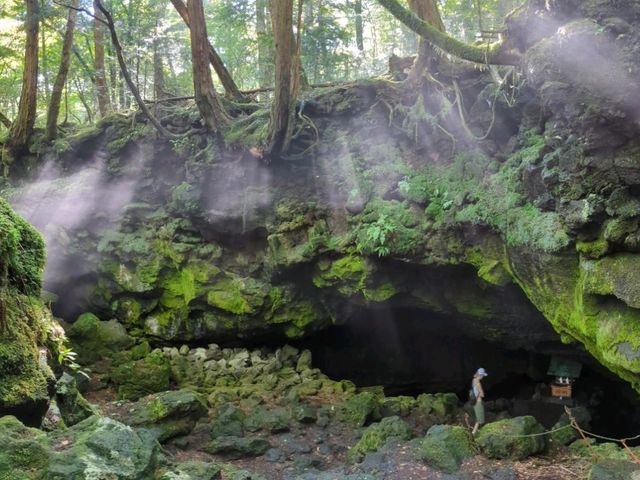 One day at the Five Lakes of Fuji. Just two hours drive from Tokyo there is a magnificent place!