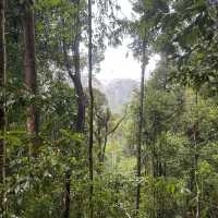 A perfect day in North Sumatra Bukit Lawang Jungle with Orangotans