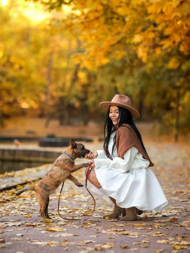 가을의 네스쿠치니 공원 발견 🍂