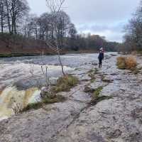 Don’t go chasing waterfalls 