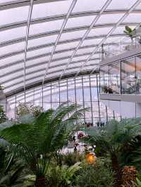 London’s Sky Garden: The Best Free View of the City