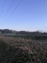 Escape to the country 