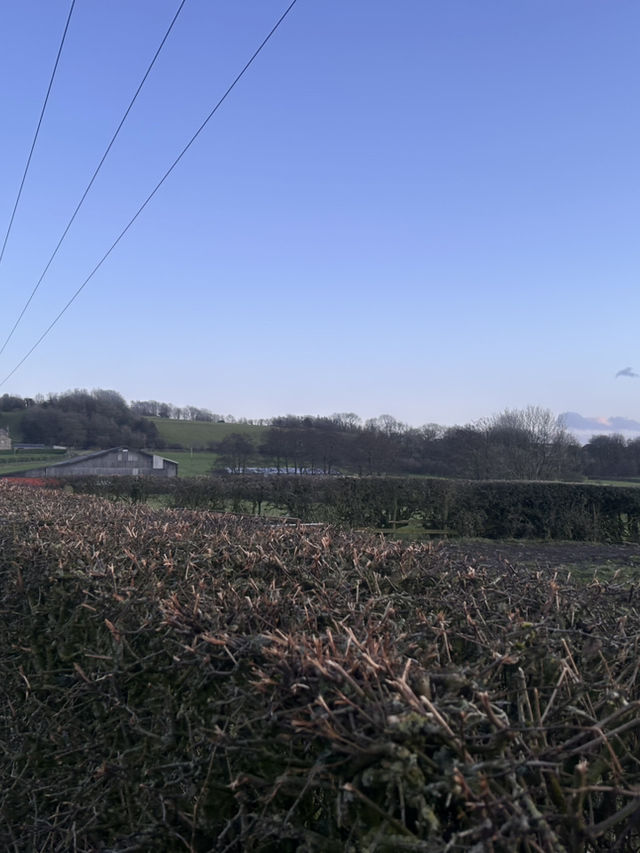 Escape to the country 