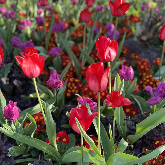 Spring into Bloom