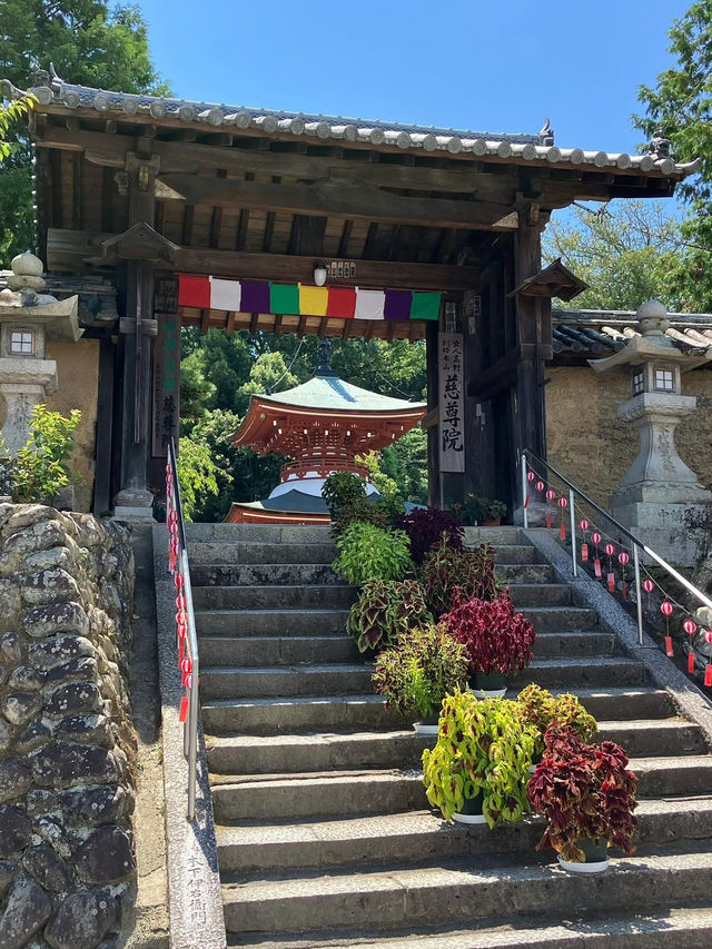 The entire town is the temple precincts
