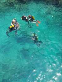 Olympos Marine Park