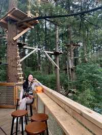 Climbing Forest For Adventure Seeker