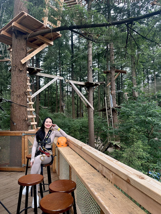 Climbing Forest For Adventure Seeker