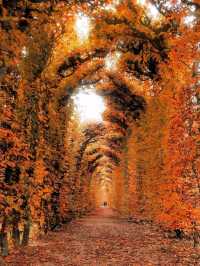 🇦🇹 2-Day Vienna Itinerary: A Perfect Blend of History, Art & Café Culture 🌟