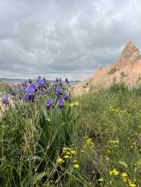 Cappadocia: Rose Valley in Bloom