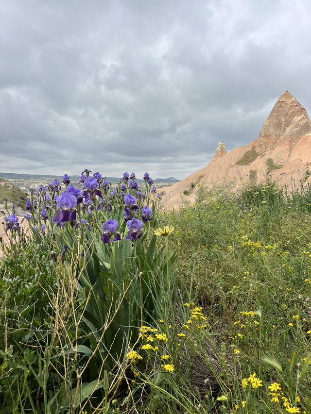 Cappadocia: Rose Valley in Bloom