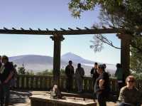 Uncovering Tenerife’s green landscape in Anaga Rural Park