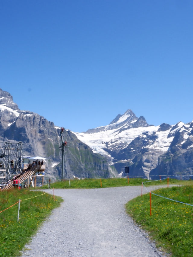 🏔️ รีวิว Grindelwald First – ประสบการณ์สุดขอบฟ้า