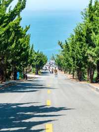 Seashells, Sunshine, and Seafood: A Day in Yantai
