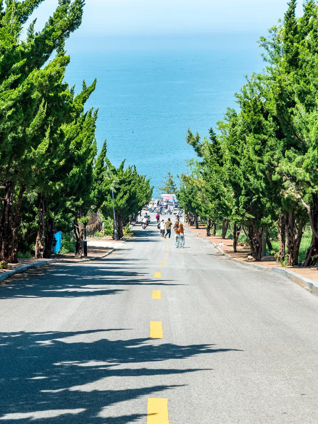 Seashells, Sunshine, and Seafood: A Day in Yantai