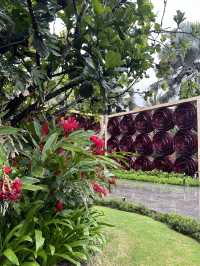 The love from first step- Melia Bali resort ❤️