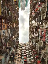A Concrete Jungle Like No Other