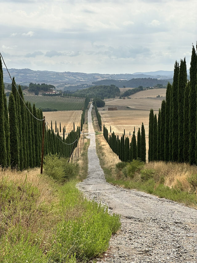 Mediterranean dreams of cypress roads? Visit this Italian village