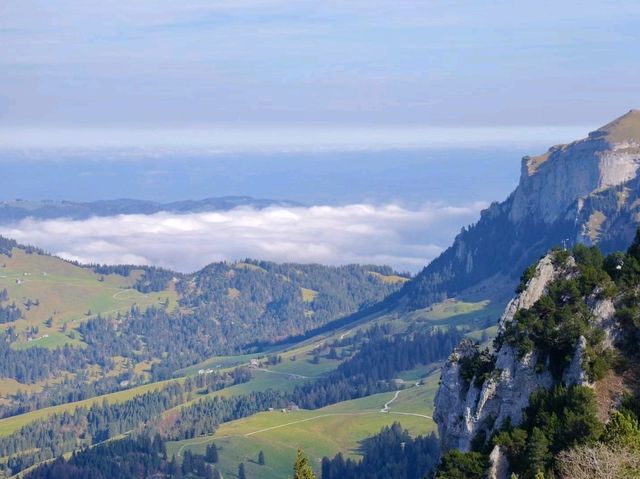 🌄 Switzerland’s Alpine Dream: From Misty Valleys to Rolling Meadows