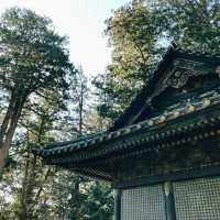 Nikko Day Trip: Temples, Nature & Timeless Japan