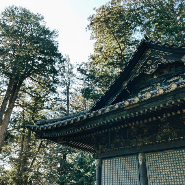 Nikko Day Trip: Temples, Nature & Timeless Japan