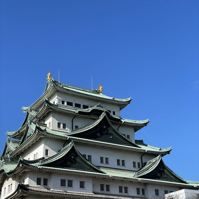 Tokyo to Nagoya: City Sights, History & Local Flavors
