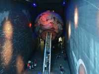 Top Attractions at the Natural History Museum, London 🦕