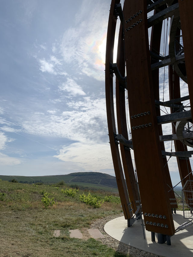 🍇 Tokaj: Land of Legendary Wine