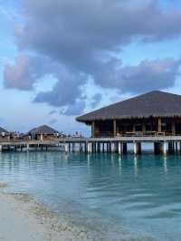 Cocoon Maldives — Where Luxury Meets the Art of Doing Nothing
