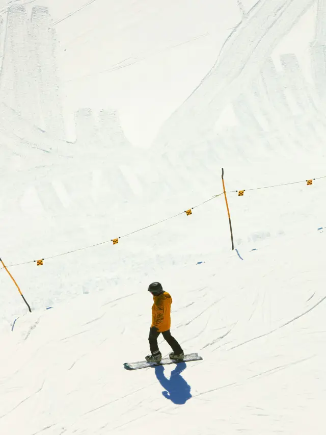 追逐速度於冰雪山坡