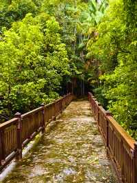 Исследуем Bako