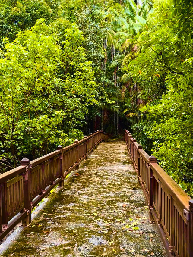 Исследуем Bako Исследуем Bako