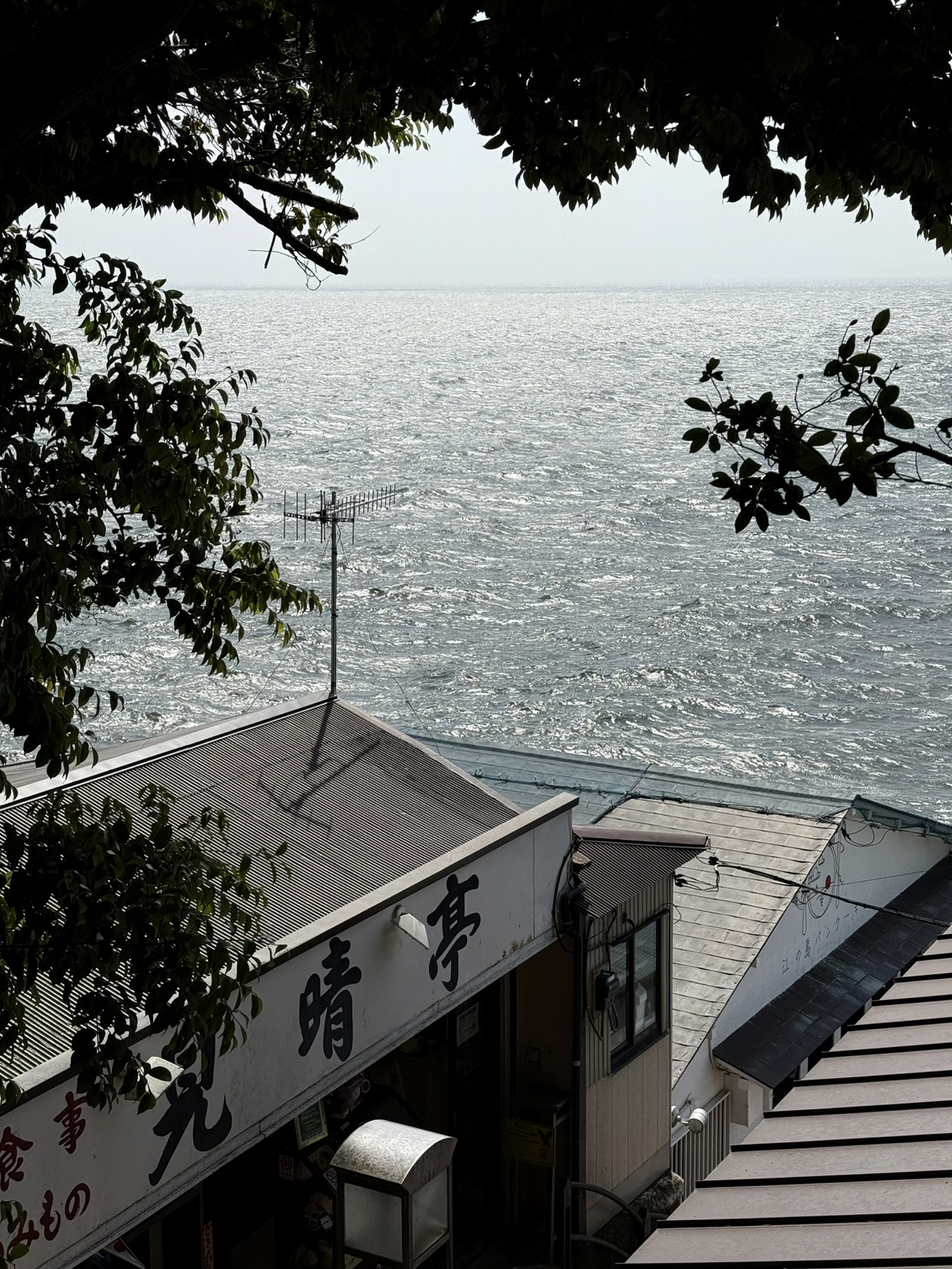 江ノ島：鎌倉の完璧な代替地（むしろもっと素晴らしい）