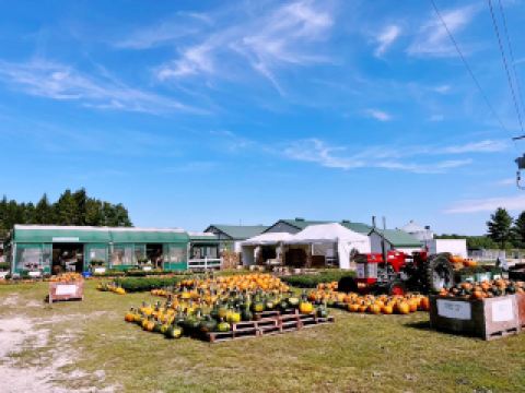 BERRY SWEET ESCAPE: Harvest Memories at Barrie Hill Farms 🇨🇦