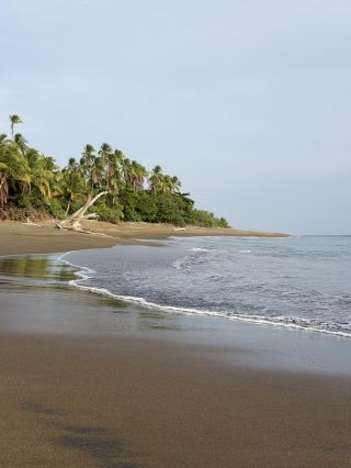 Let’s talk beach bliss – I spent my time soaking up the vibes on Panama’s legendary shoreline, where chilled-out mornings on the water rolled into epic sunsets with soaring seabirds overhead 🌅😎. If you’re after breathtaking beaches (seriously, Panama’s are the world’s best), this is the place!

Top Spots to Visit:
Playa Blanca – Head to Playa Blanca for powdery white sand and calm, swimmable surf (unbeatable for both sunrise and sunset sessions). Grab a kayak or join a small boat ride early—the sea stays still and clear, plus you’ll spot birds gliding by. Location: Playa Blanca, Río Hato, Coclé.

Bocas del Toro – This Caribbean archipelago is pure paradise. Catch a water taxi from Isla Colón for beach-hopping, or rent a board to surf at Playa Bluff. Best tip: Overcast? No worries! The water’s still warm, and the mist adds a dreamy vibe. Boat tours run all day from Bocas Town Pier.

San Blas Islands – Off the beaten track, totally unspoiled! Pre-book a charter for a sunrise trip—watch for flocks of seabirds at dawn. Many tour operators launch from Carti port and trips include a lunch of fresh seafood.

Insider Tip: Even if the weather turns cloudy or a little rainy, don’t skip the beach! The sea goes almost glassy, and the backdrop is pure magic for photos or a chill rowboat outing with friends. Panama’s beaches really are the top tier – bring a waterproof bag and enjoy every minute on the water.

Getting Around: Use local “collectivo” vans or pre-book transfers online—super affordable and frequent. Always bring cash for small boat rides and beach snacks.

Foodie Fix: Try ceviche at beach shacks or grab roadside fried plantains. In Bocas, check out the waterfront cafes for super-fresh seafood.

#PanamaBeaches #BeachLife #TravelTips #UltimateEscape #NatureLovers
