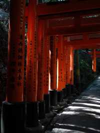 10 days in Japan 🇯🇵