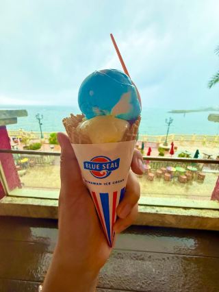 🍦 我吃過最特別的冰淇淋！沖繩藍海豹冰淇淋