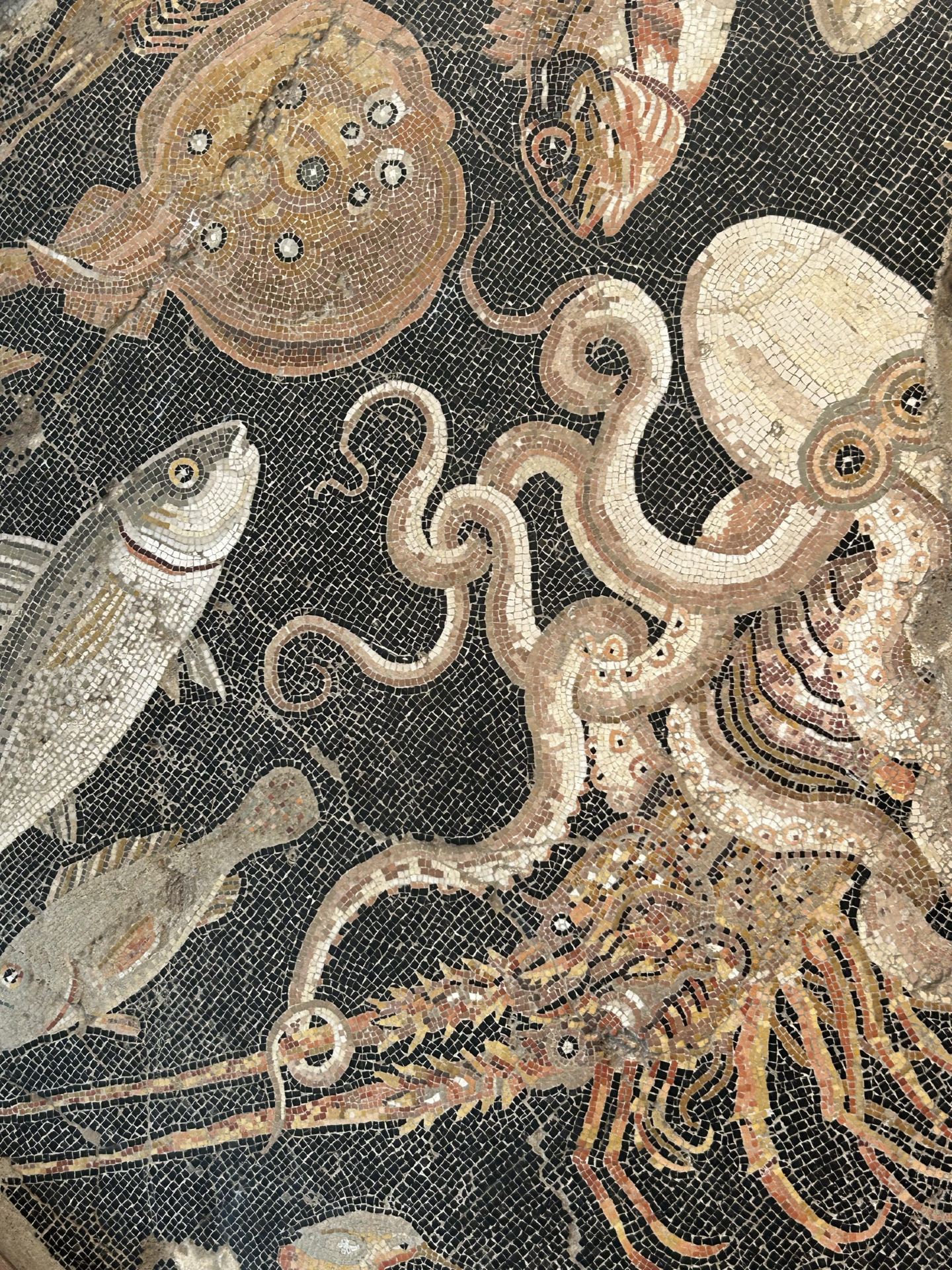 The Fast And The Frescoes: A High Speed Guide to The National Archeological Museum Naples
