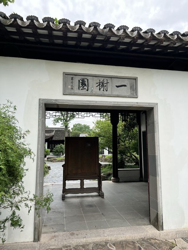 【蘇州】蓮の花が美しい夏の虎丘