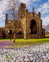 Colorful spring 🍀 - Yorkshire