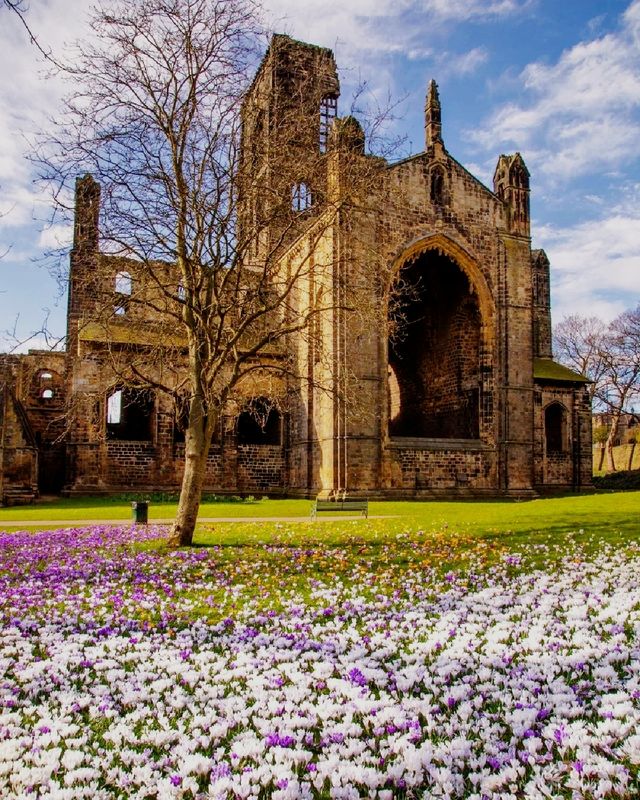 Colorful spring 🍀 - Yorkshire