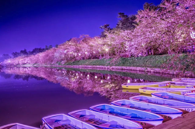 Recommend two Japanese cherry blossom viewing spots.